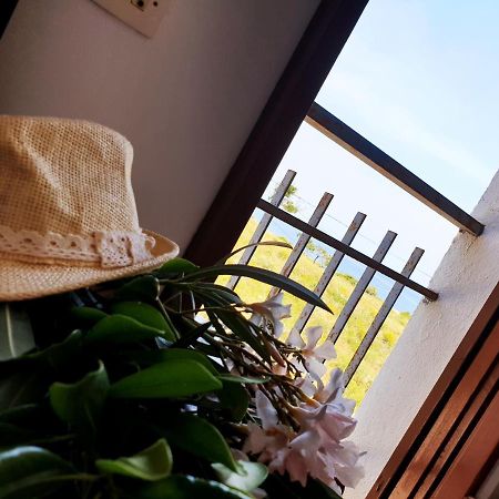 Xaloc, Apartament Amb Vistes A Mar M4 El Port De La Selva Kültér fotó